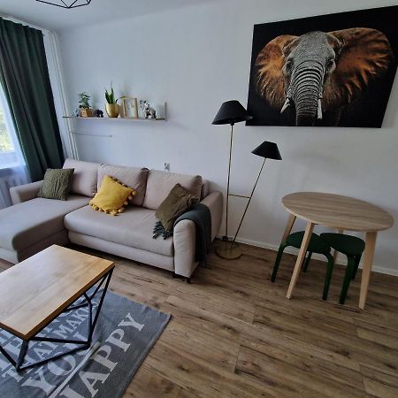 Sienkiewicza Apartament Multi House Rzeszów Esterno foto