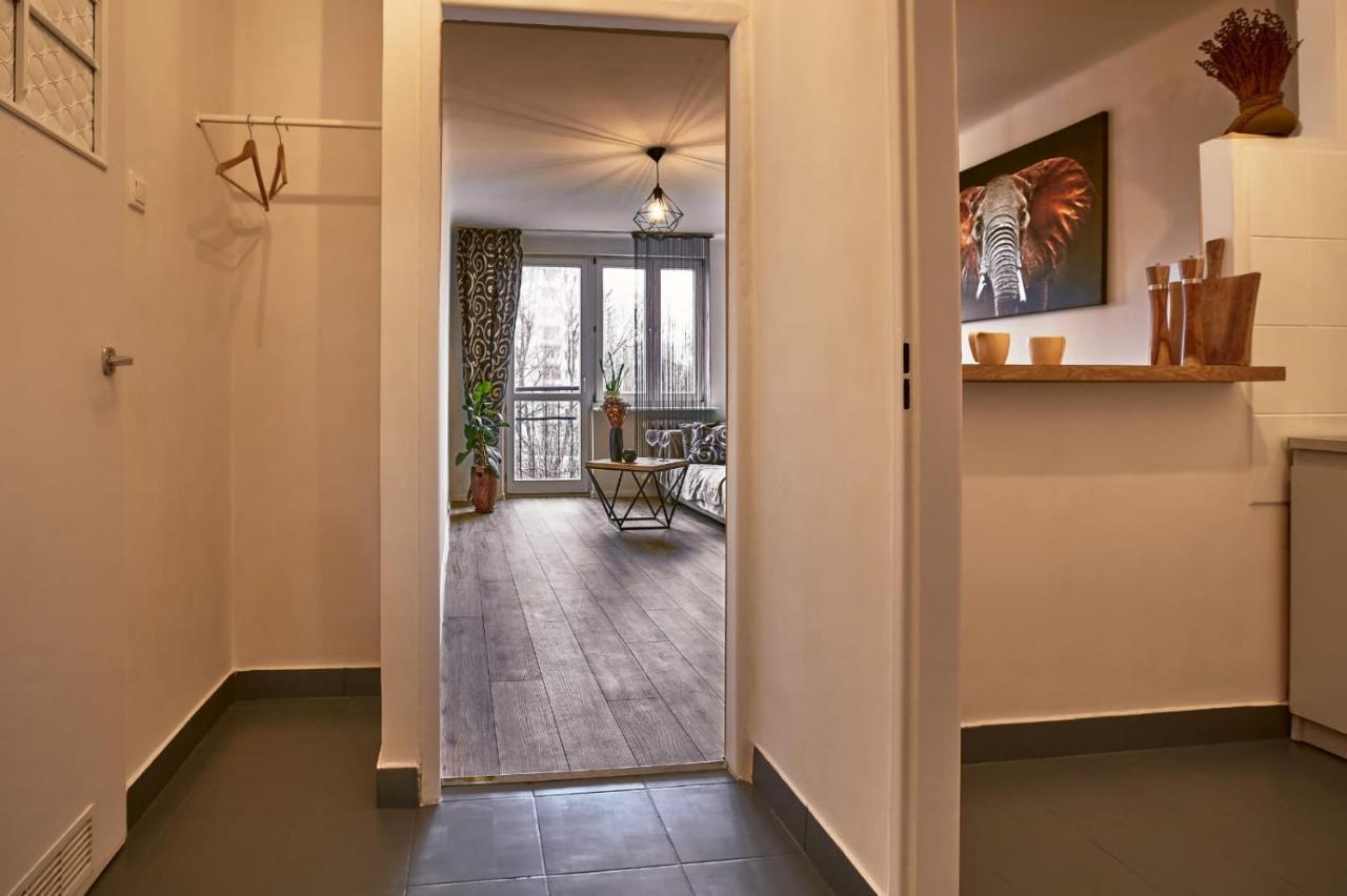 Sienkiewicza Apartament Multi House Rzeszów Esterno foto