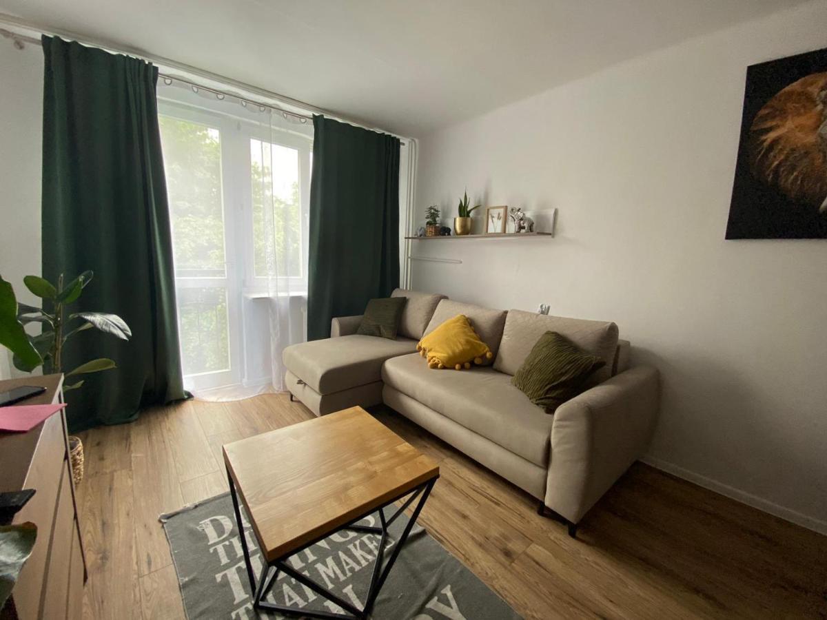Sienkiewicza Apartament Multi House Rzeszów Esterno foto
