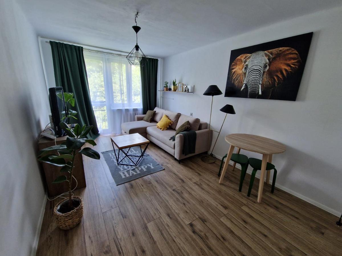 Sienkiewicza Apartament Multi House Rzeszów Esterno foto