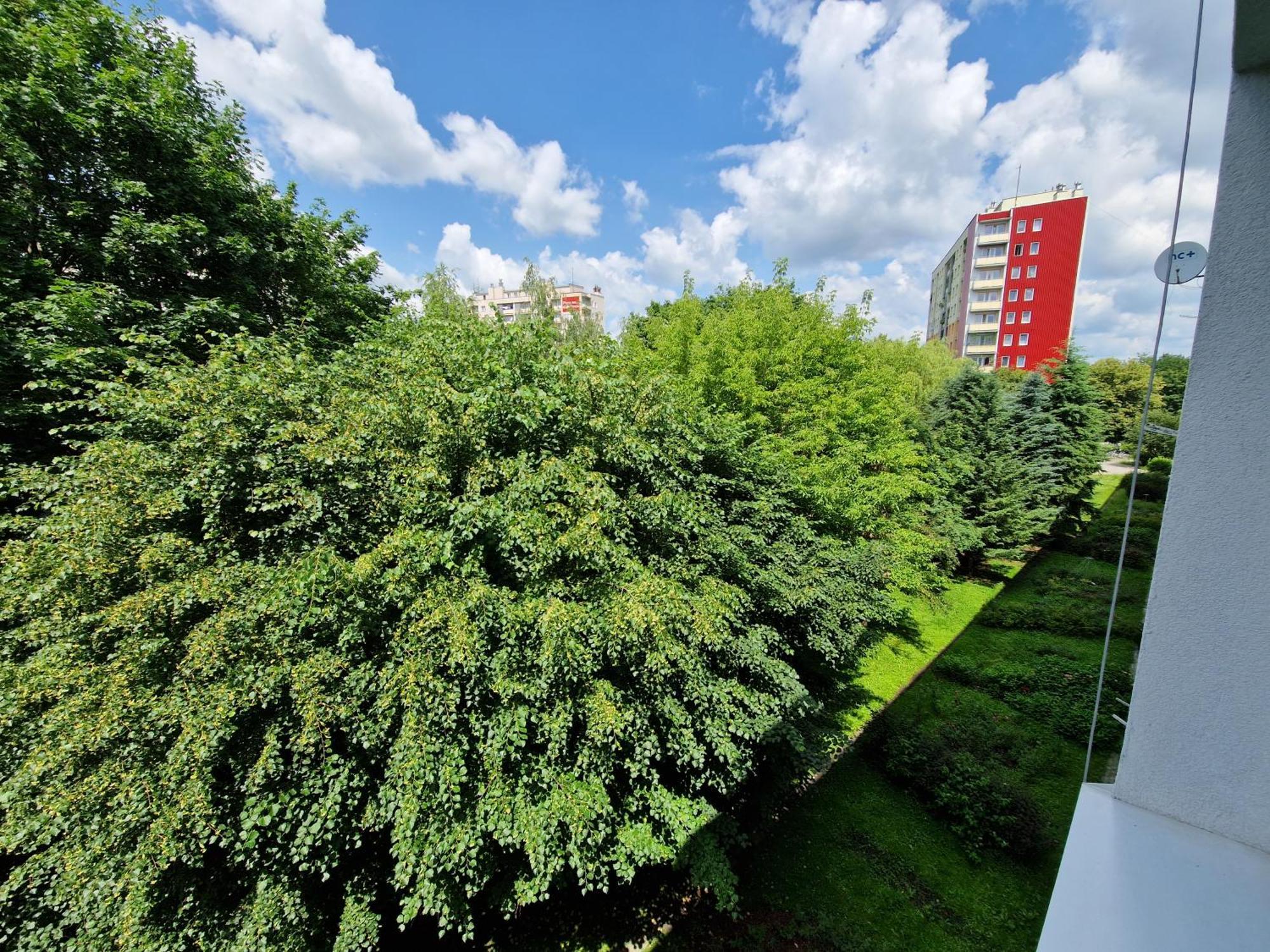 Sienkiewicza Apartament Multi House Rzeszów Esterno foto
